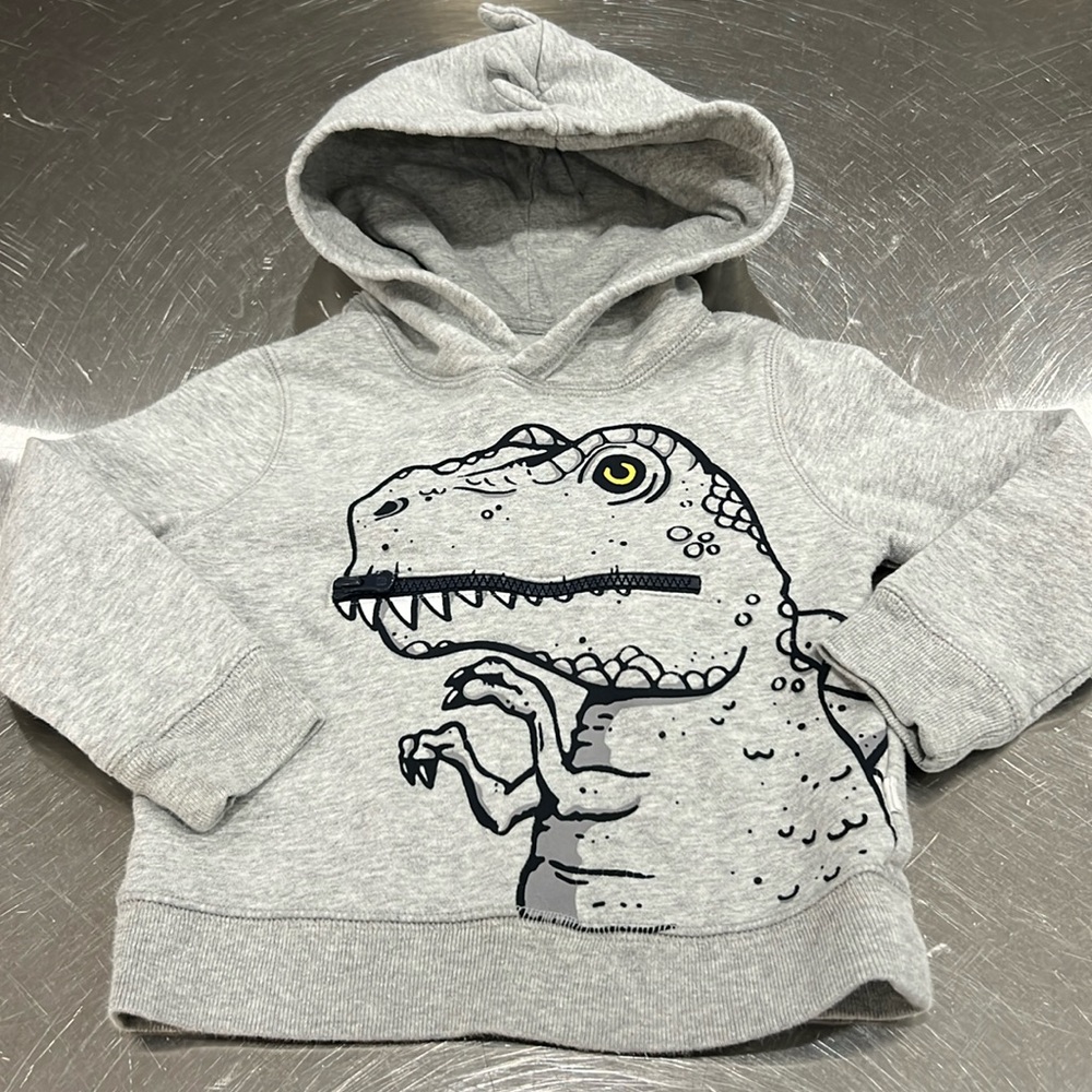 Gap Toddler Hooded Sweatshirt